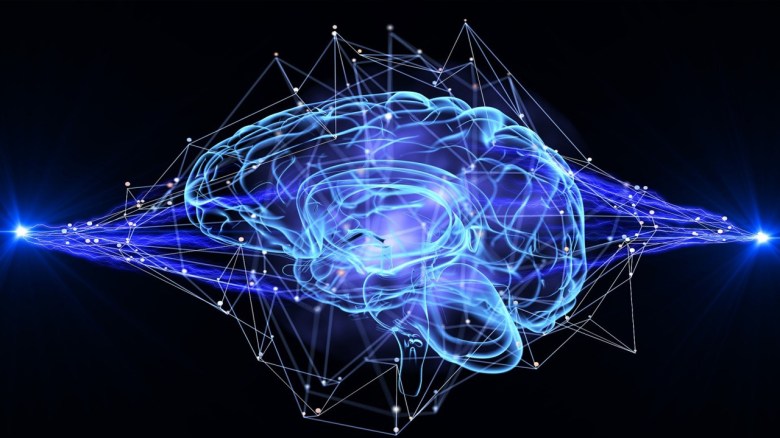 (STROKE) O ICTUS: L’IMPORTANZA DELL’ESERCIZIO FISICO&nbsp;ADATTATO