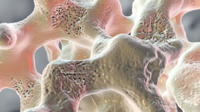 EFFETTI DELL’ESERCIZIO FISICO SUL TESSUTO&nbsp;OSSEO