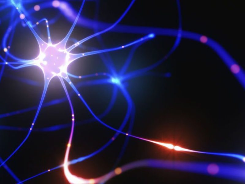 GLI ORMONI POSSONO INFLUENZARE LA COMPOSIZIONE CORPOREA&nbsp;?