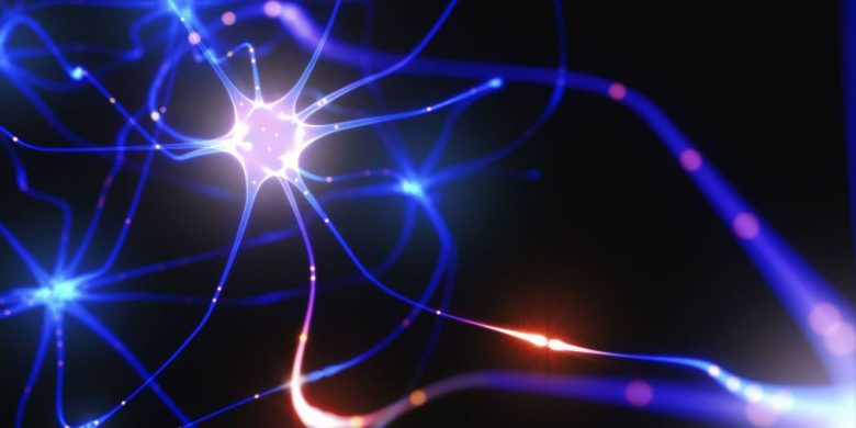 GLI ORMONI POSSONO INFLUENZARE LA COMPOSIZIONE CORPOREA&nbsp;?