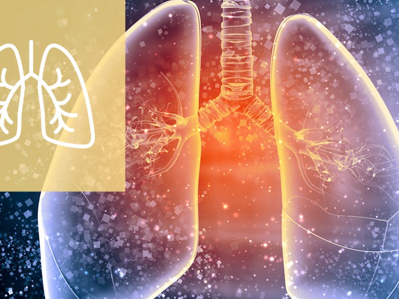 L’ASMA ED ESERCIZIO&nbsp;FISICO