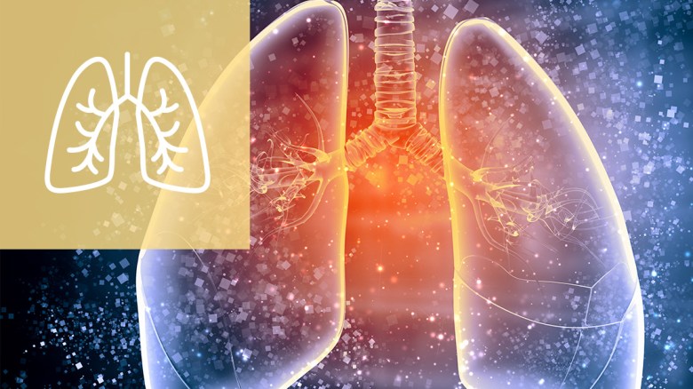 L’ASMA ED ESERCIZIO&nbsp;FISICO