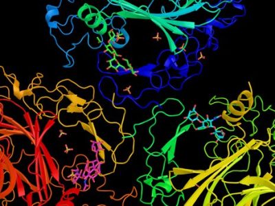 LA SCLEROSI SISTEMICA E L’APPROCCIO ALL’ ATTIVITA’&nbsp;FISICA