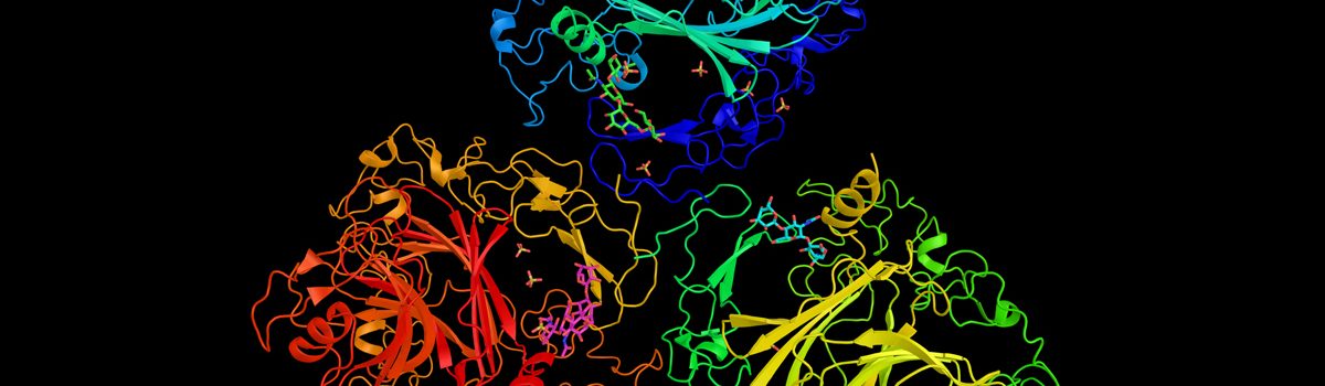 LA SCLEROSI SISTEMICA E L’APPROCCIO ALL’ ATTIVITA’&nbsp;FISICA